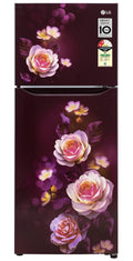 LG 242 L 2 Star Frost-Free Smart Inverter Double-Door Refrigerator (Model GL-N292DSBY)
