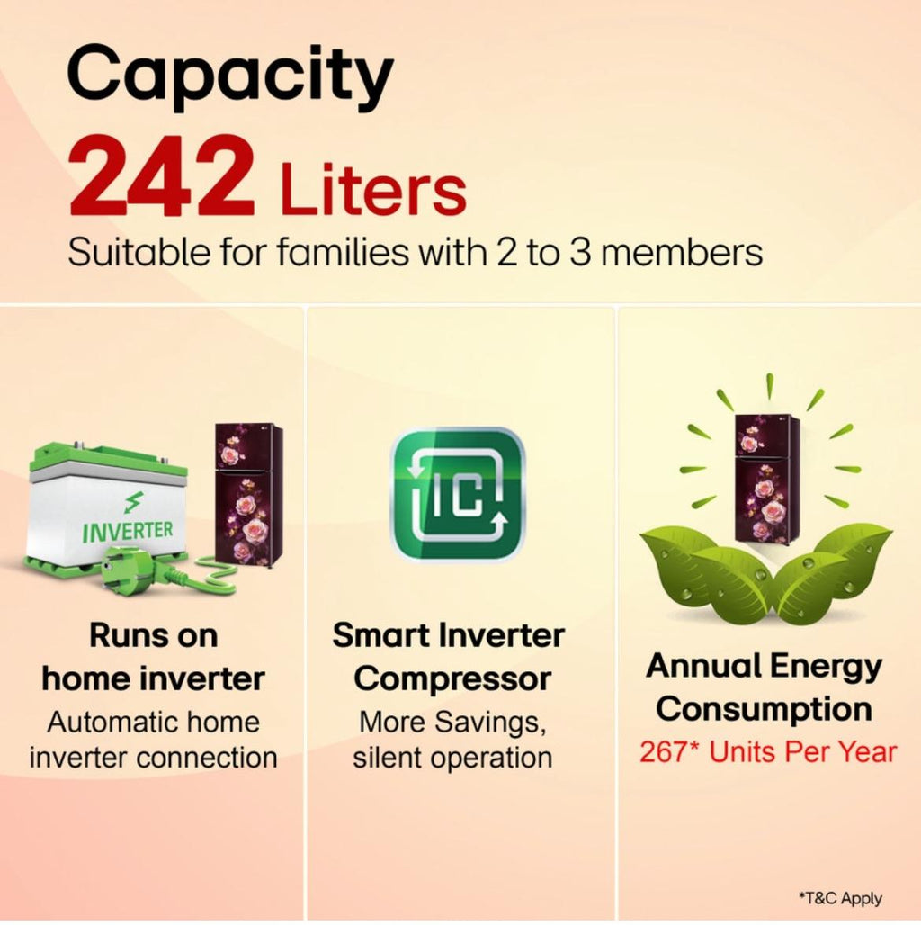 LG 242 L 2 Star Frost-Free Smart Inverter Double-Door Refrigerator (Model GL-N292DSBY)