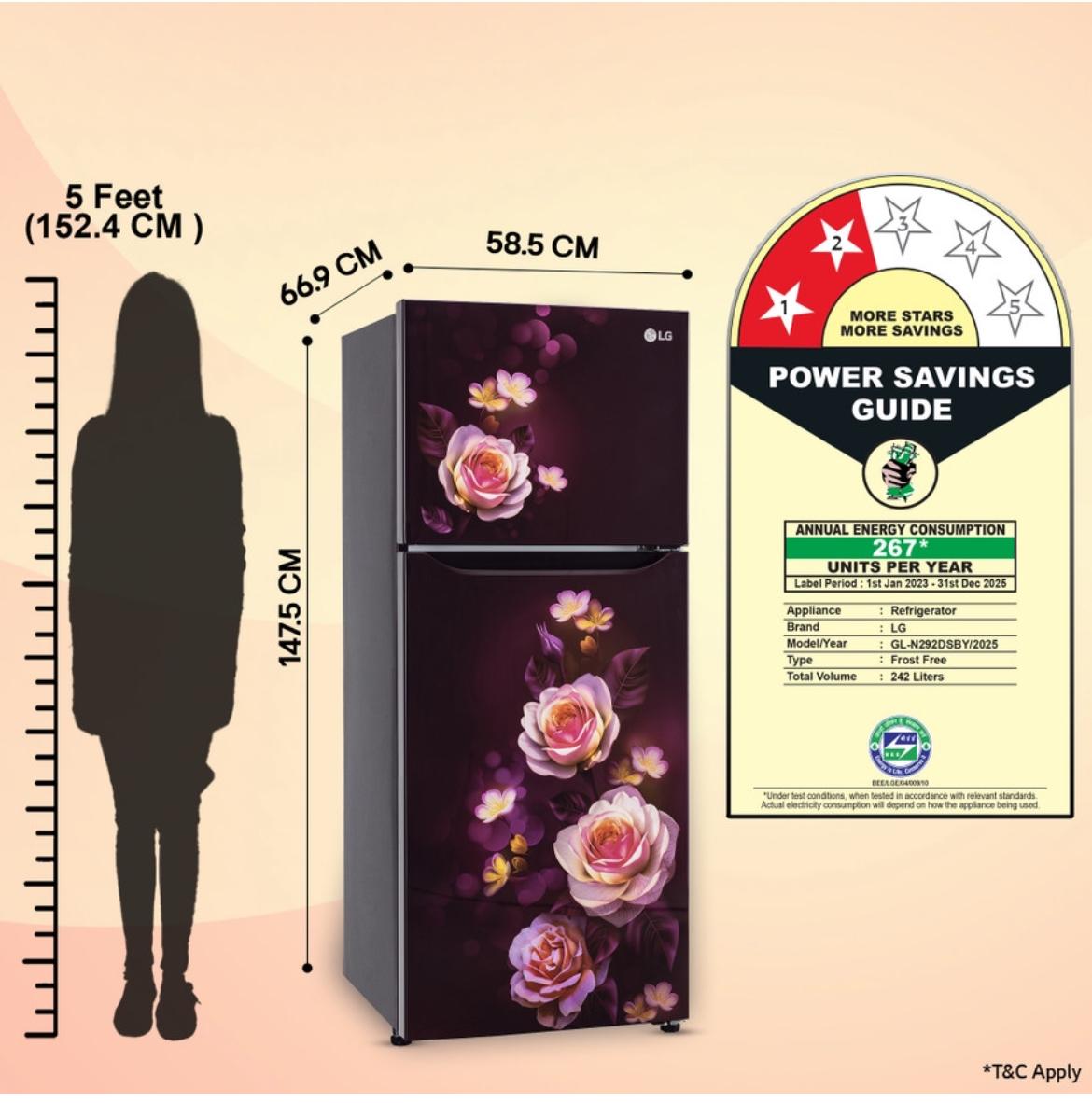 LG 242 L 2 Star Frost-Free Smart Inverter Double-Door Refrigerator (Model GL-N292DSBY)